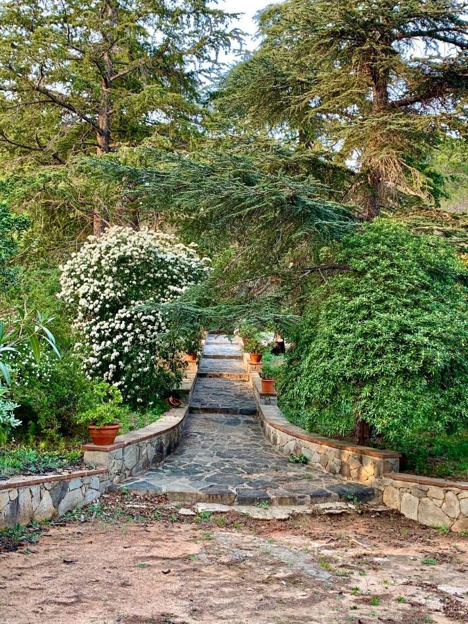 B&B Can Casadella Premià de Dalt Exterior foto